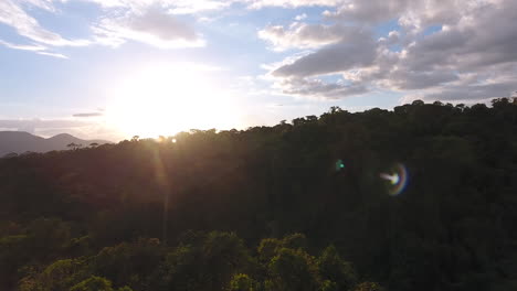 Sonne-Und-Regenwald-Per-Drohne.-Guayana-Amazonaspark